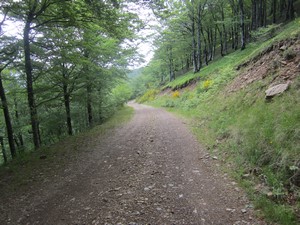 528-0614-BF6651w.JPG 528-0614-BF6651w.JPG