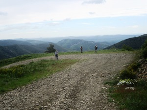 528-0615-BF6656w.JPG 528-0615-BF6656w.JPG