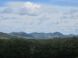 529-0651--BF6744w.JPG
