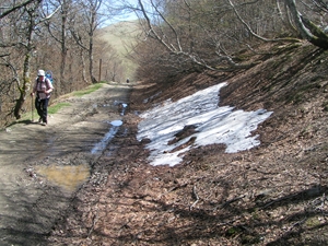 img423-flanMendiChipi.JPG