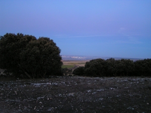 img594-GM-Atapuerca-Burgos.JPG