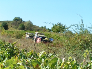 img760GM-Ponferrada-Cacabelos.JPG