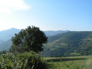 img783-GM-VegaDeValcarce-OCebreiro.JPG
