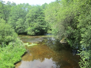 0320-BF4226.JPG