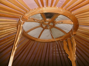 0736-PF1x1072.JPG